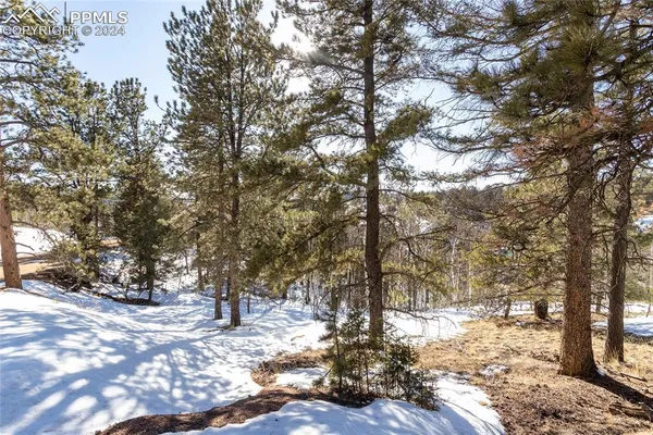 $115,000 | 329 Cottonwood Lake Drive, Divide, CO 80814