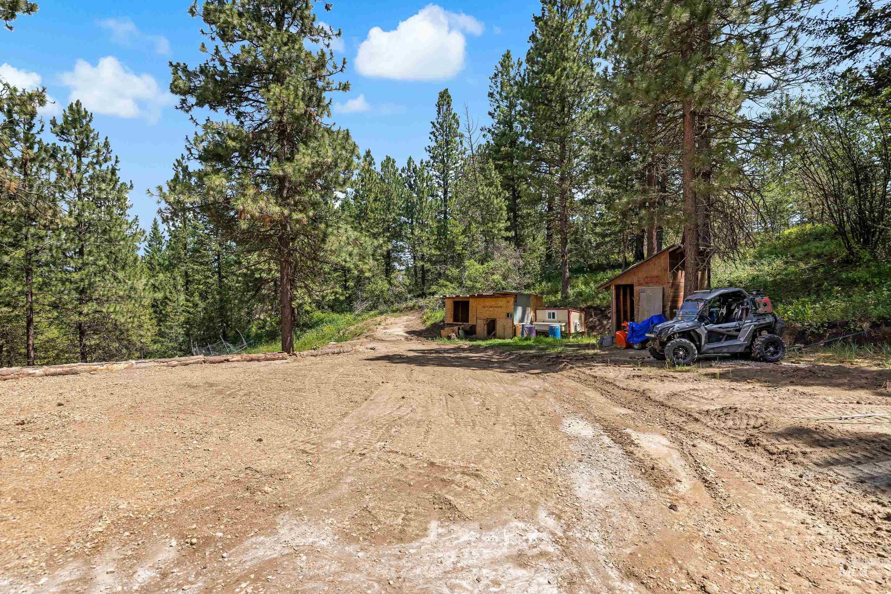 92 Cruickshank Road Horseshoe Bend, ID 83629 - Photo 47 of 50 Cleared, level building pad amidst mature pine trees