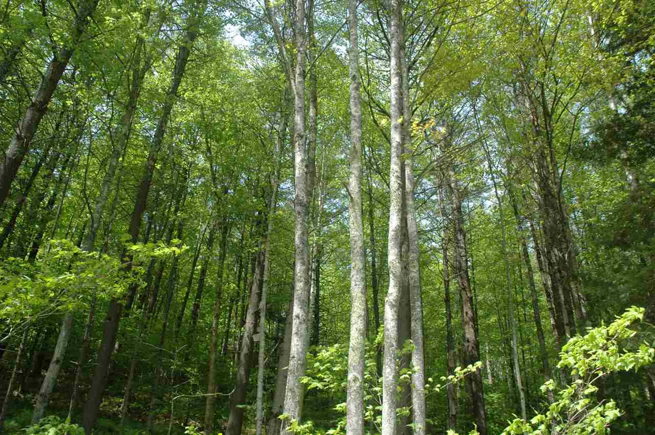 0 Moses Clark Road Landaff, NH 03585 - Photo 2 of 4