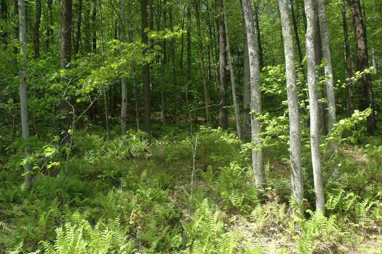 0 Moses Clark Road Landaff, NH 03585 - Photo 3 of 4