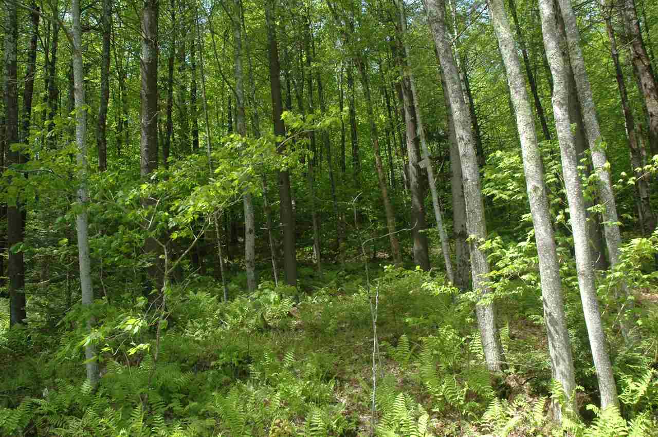 0 Moses Clark Road Landaff, NH 03585 - Photo 4 of 4