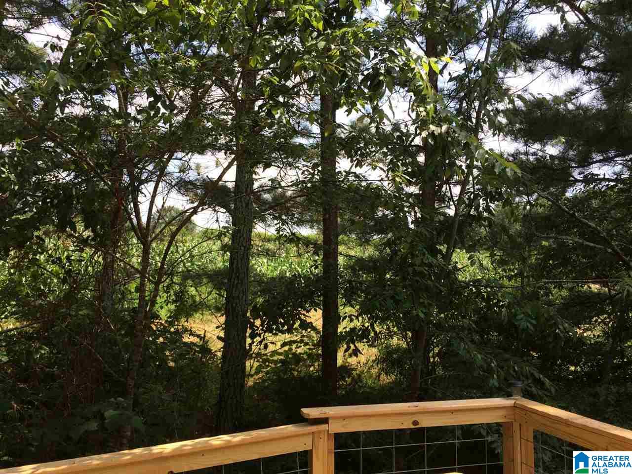 3495 Ebell Road Oneonta, AL 35121 - Photo 13 of 20