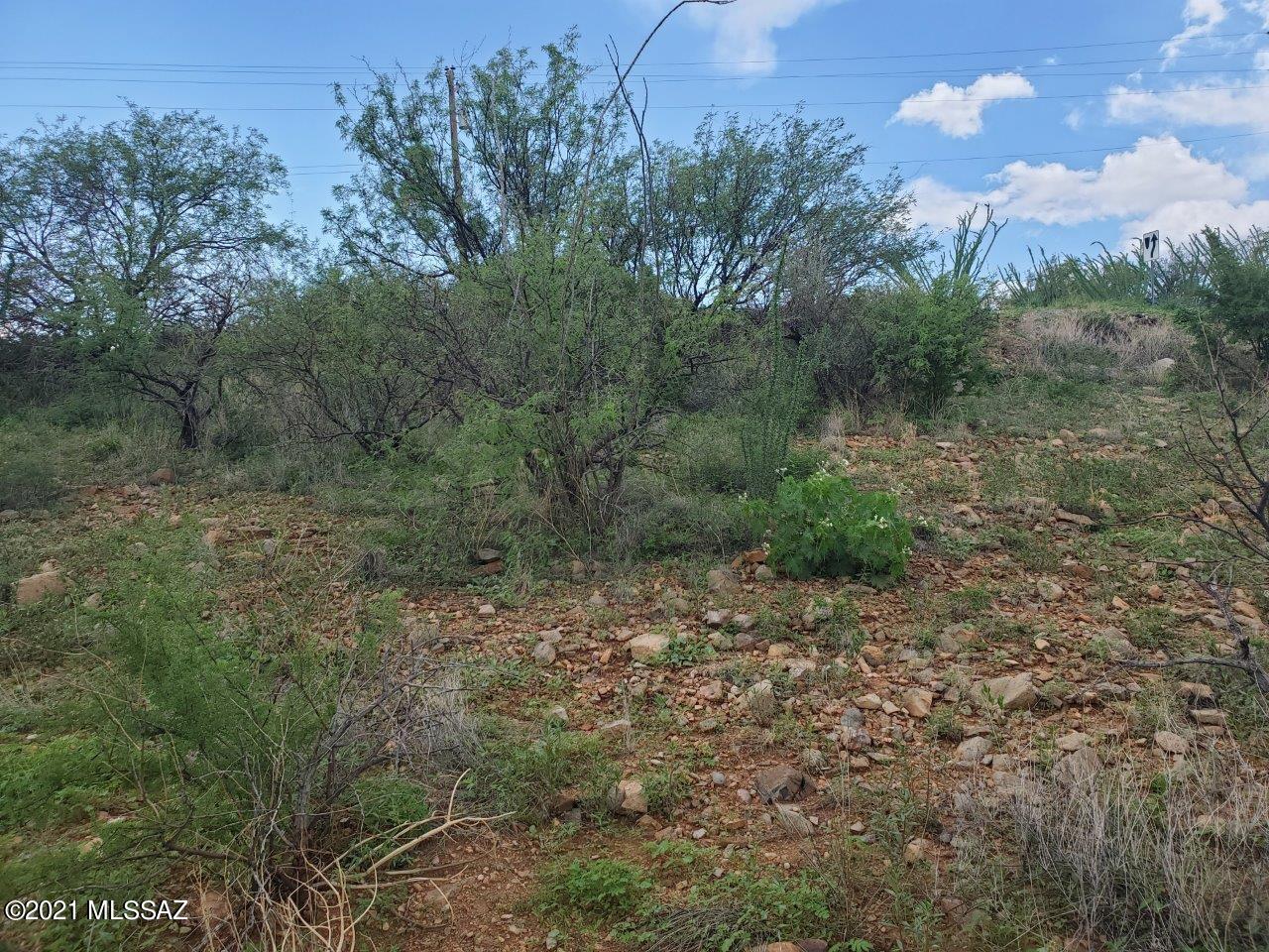 1331 Avenida Gutierrez, Unit 65 Rio Rico, AZ 85648 - Photo 24 of 25