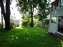 a view of a yard with plants and large trees