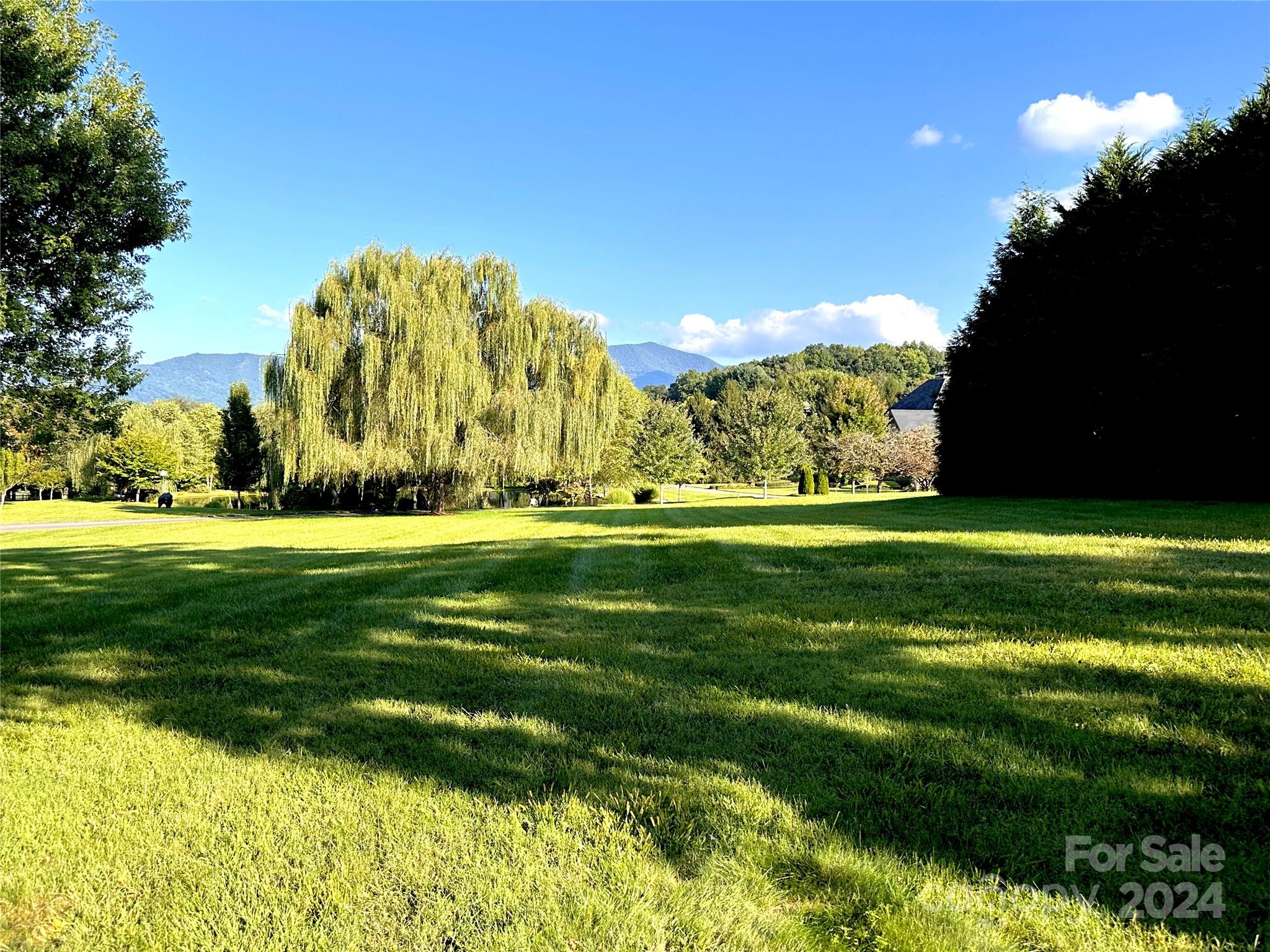 51 Plott Valley Road Waynesville, NC 28786 - Photo 41 of 44