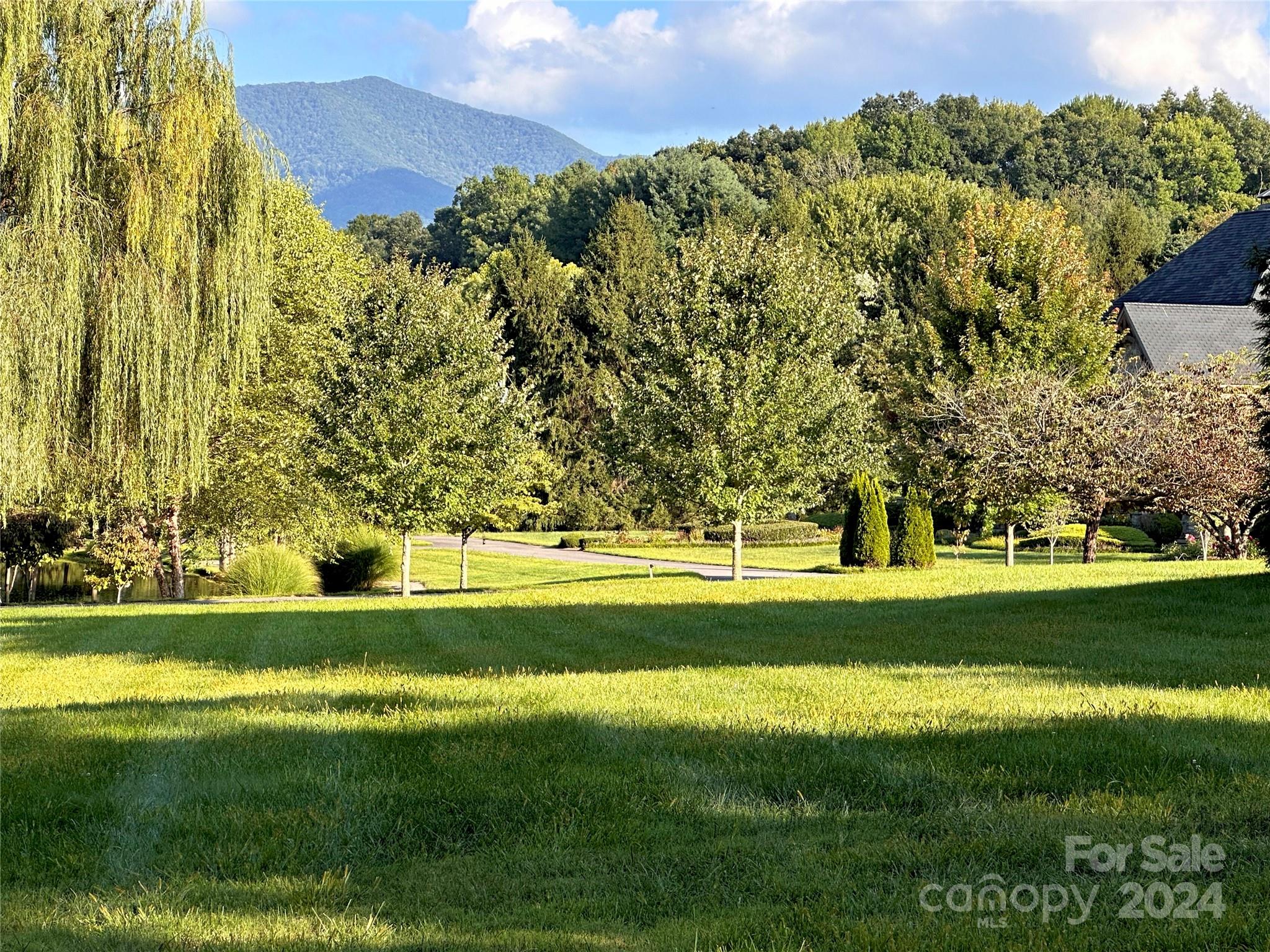 51 Plott Valley Road Waynesville, NC 28786 - Photo 42 of 44