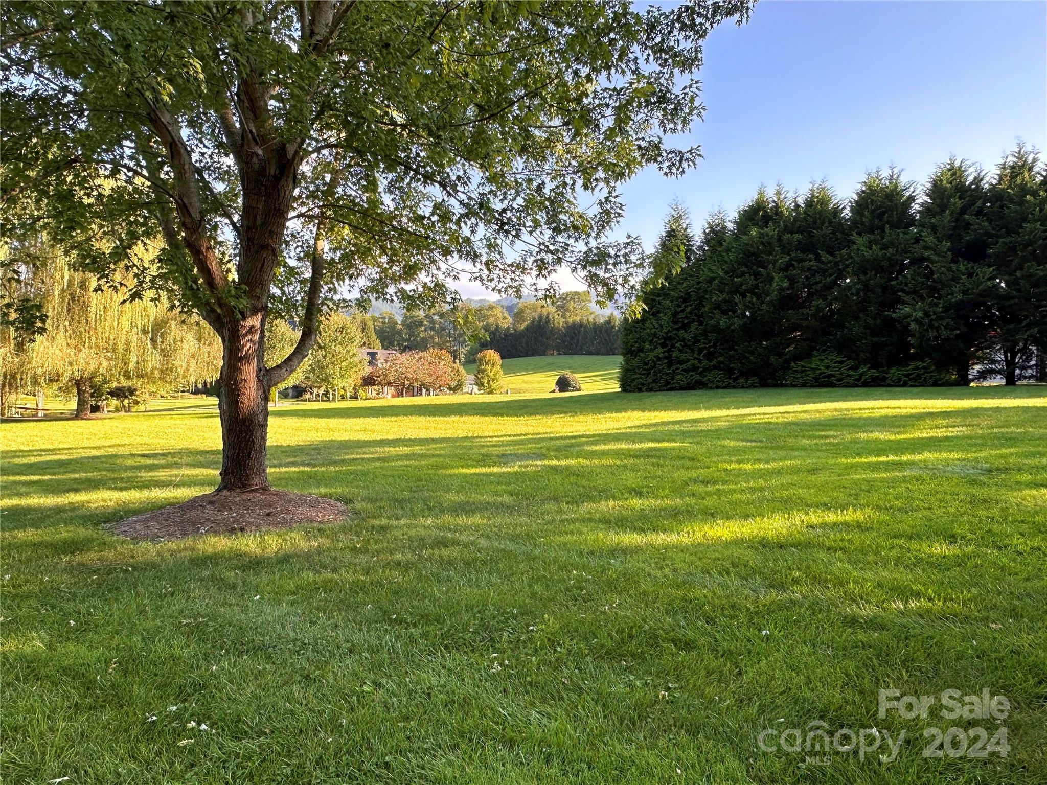 51 Plott Valley Road Waynesville, NC 28786 - Photo 43 of 44