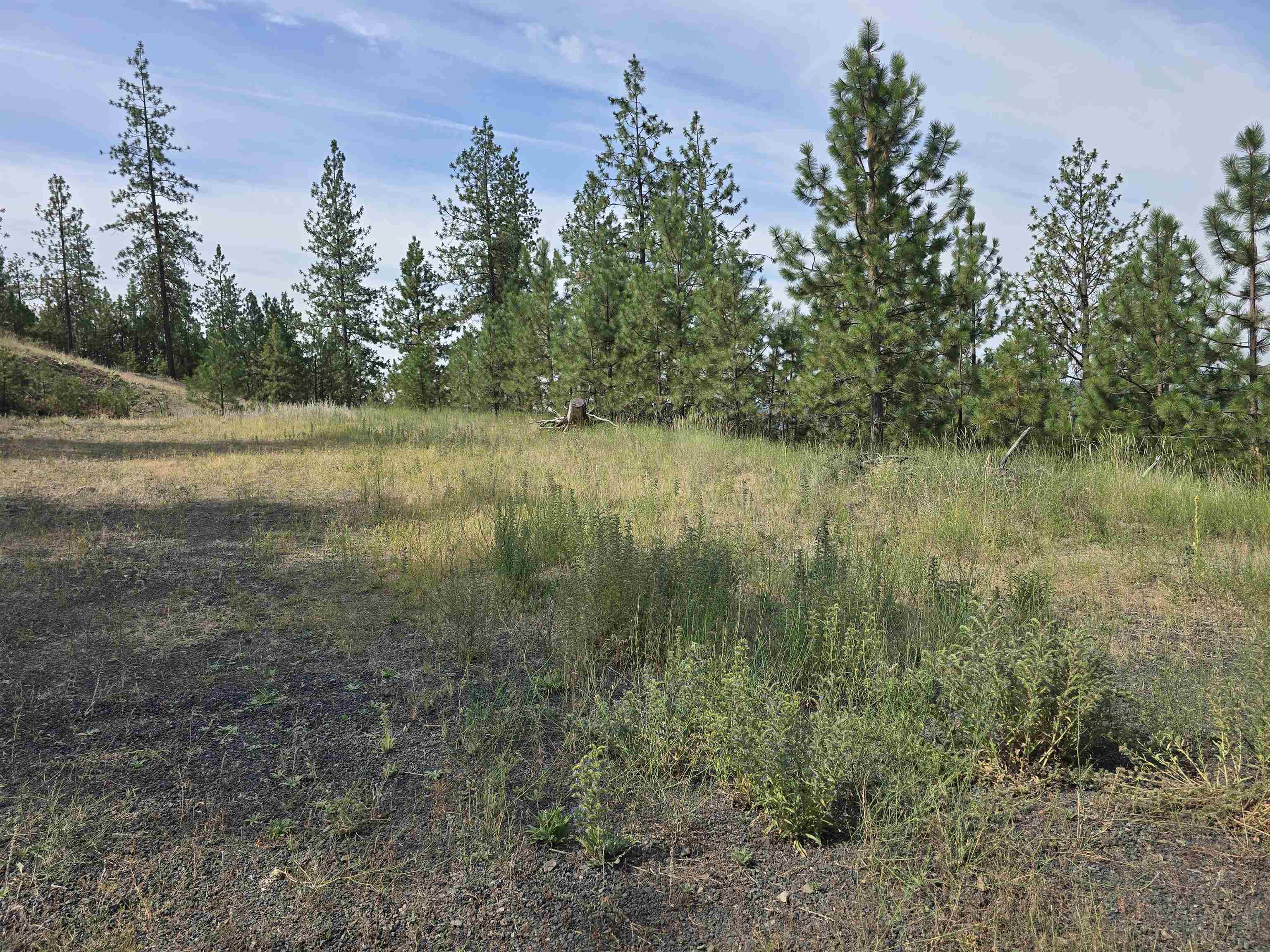 Nine Syringa Way Nine Mile Falls, WA 99026 - Photo 11 of 36