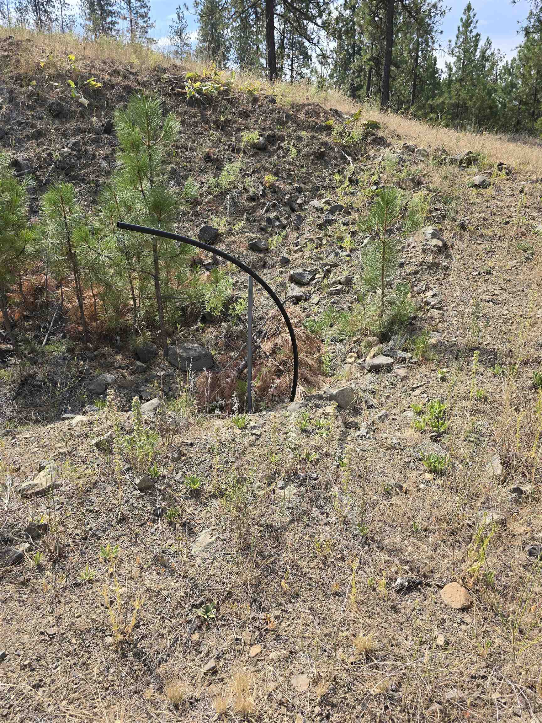 Nine Syringa Way Nine Mile Falls, WA 99026 - Photo 12 of 36