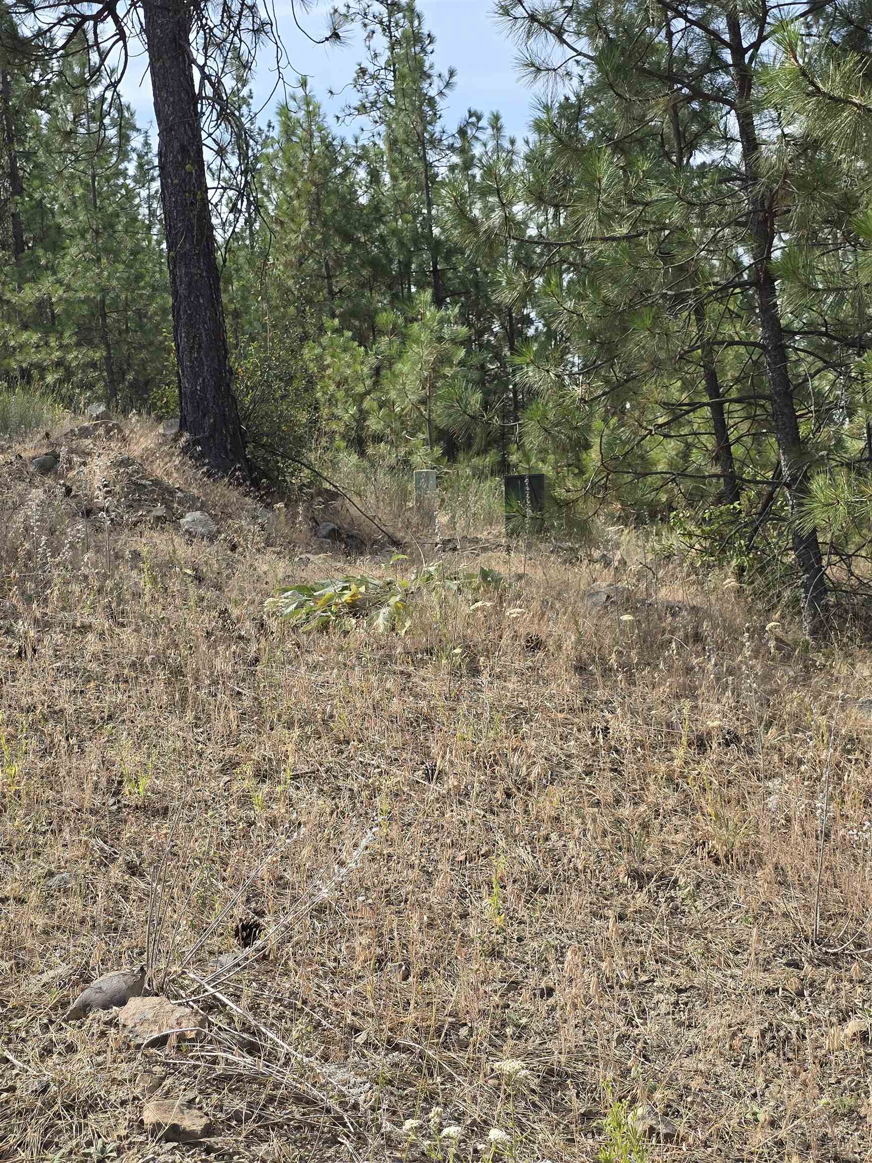 Nine Syringa Way Nine Mile Falls, WA 99026 - Photo 13 of 36