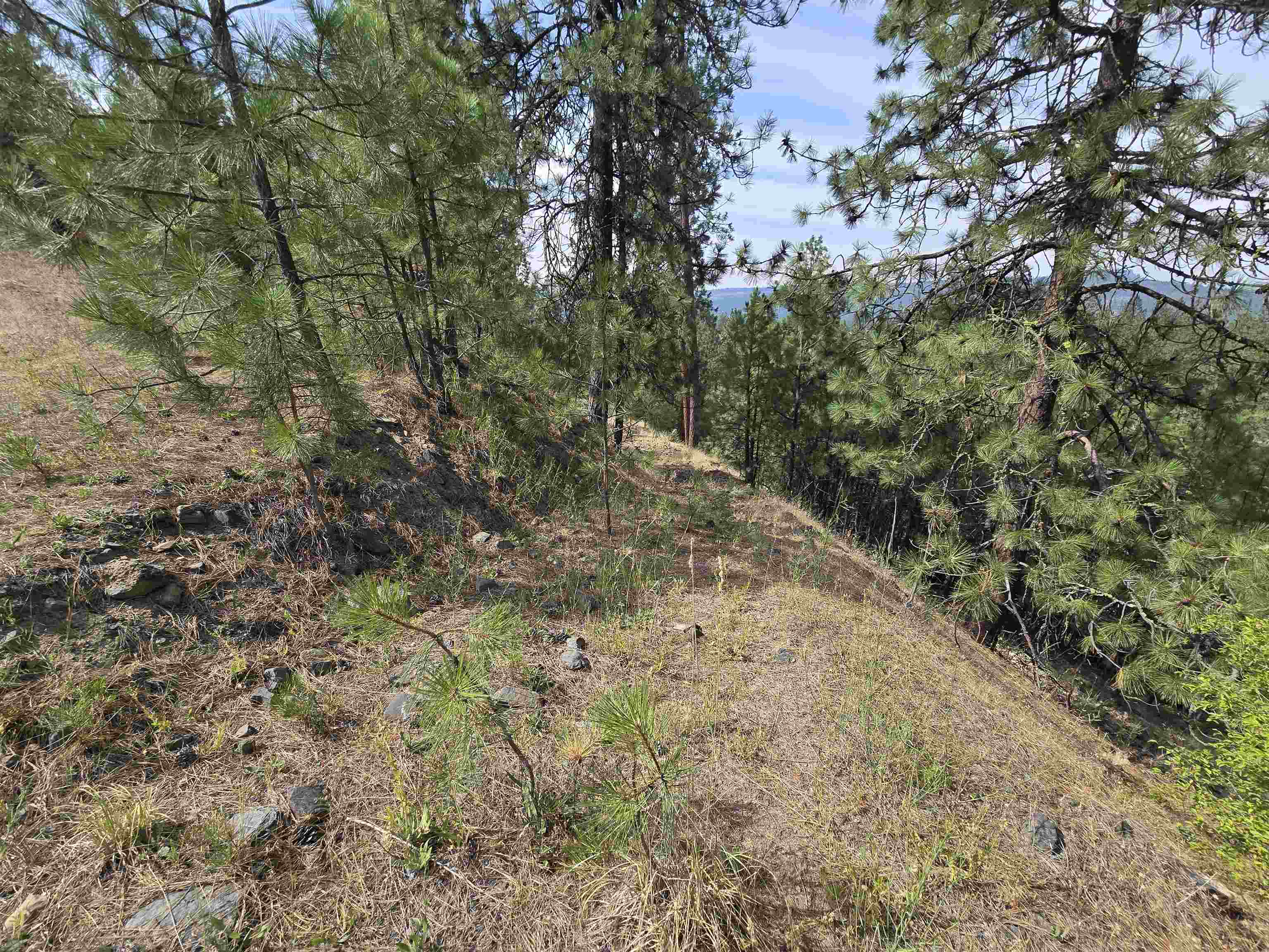 Nine Syringa Way Nine Mile Falls, WA 99026 - Photo 14 of 36