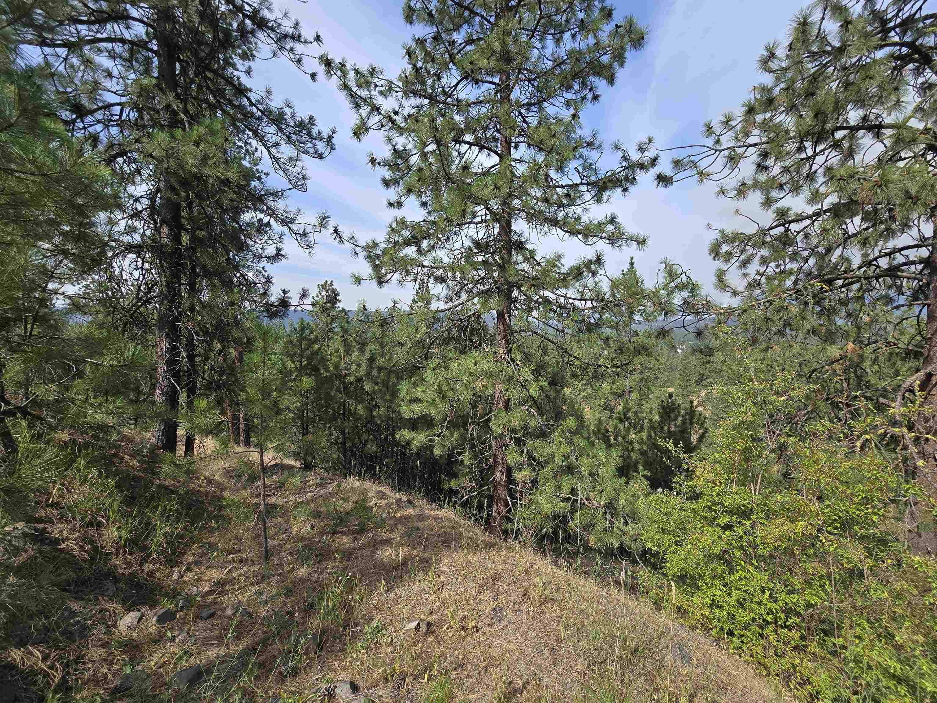 Nine Syringa Way Nine Mile Falls, WA 99026 - Photo 15 of 36