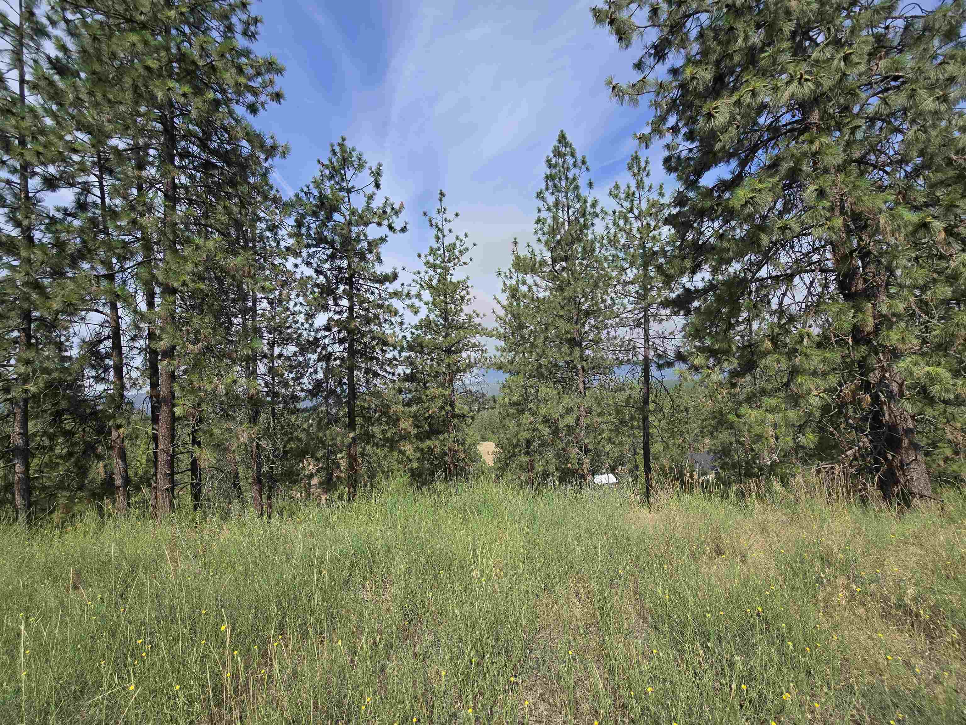 Nine Syringa Way Nine Mile Falls, WA 99026 - Photo 18 of 36