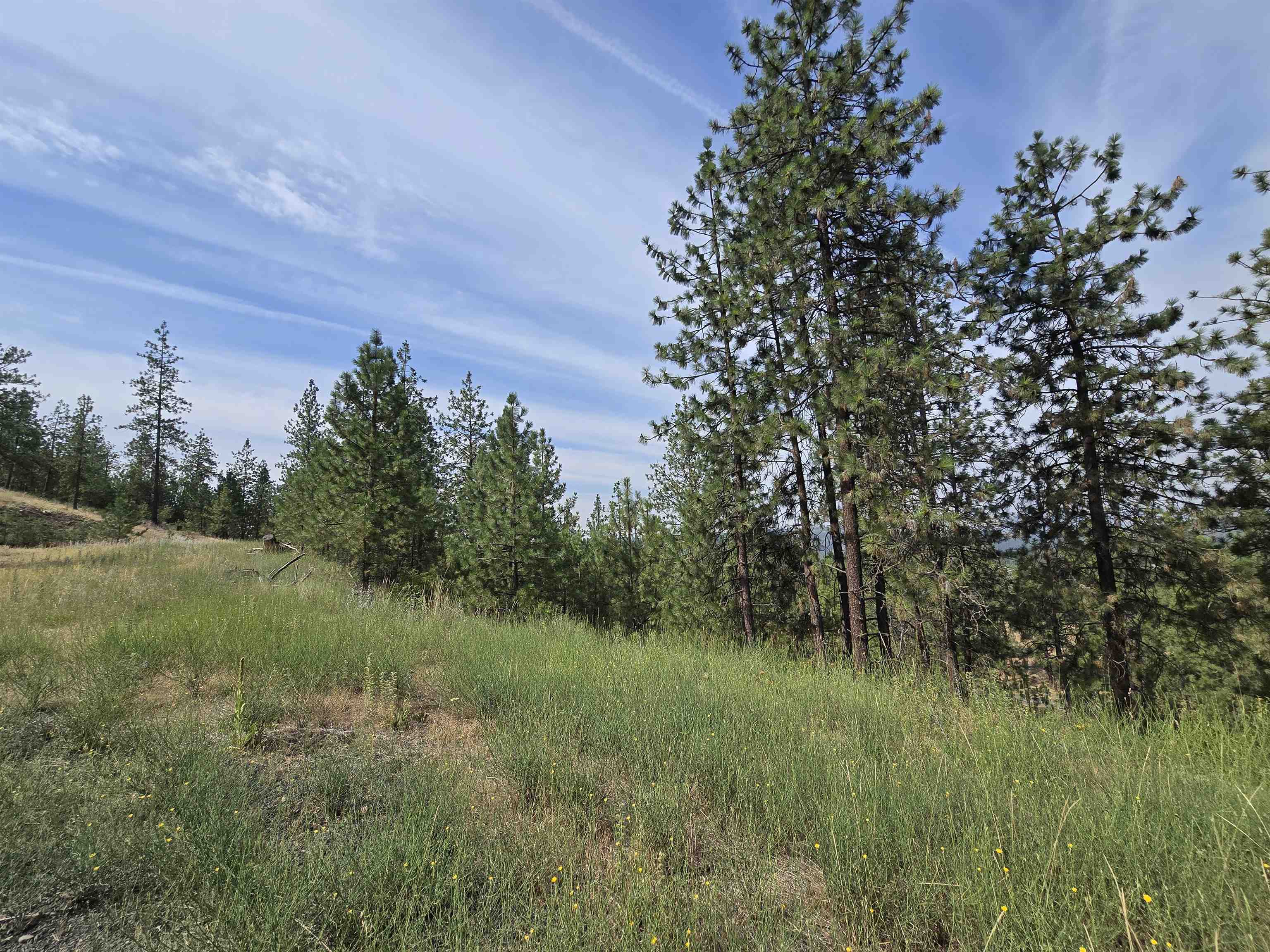 Nine Syringa Way Nine Mile Falls, WA 99026 - Photo 19 of 36