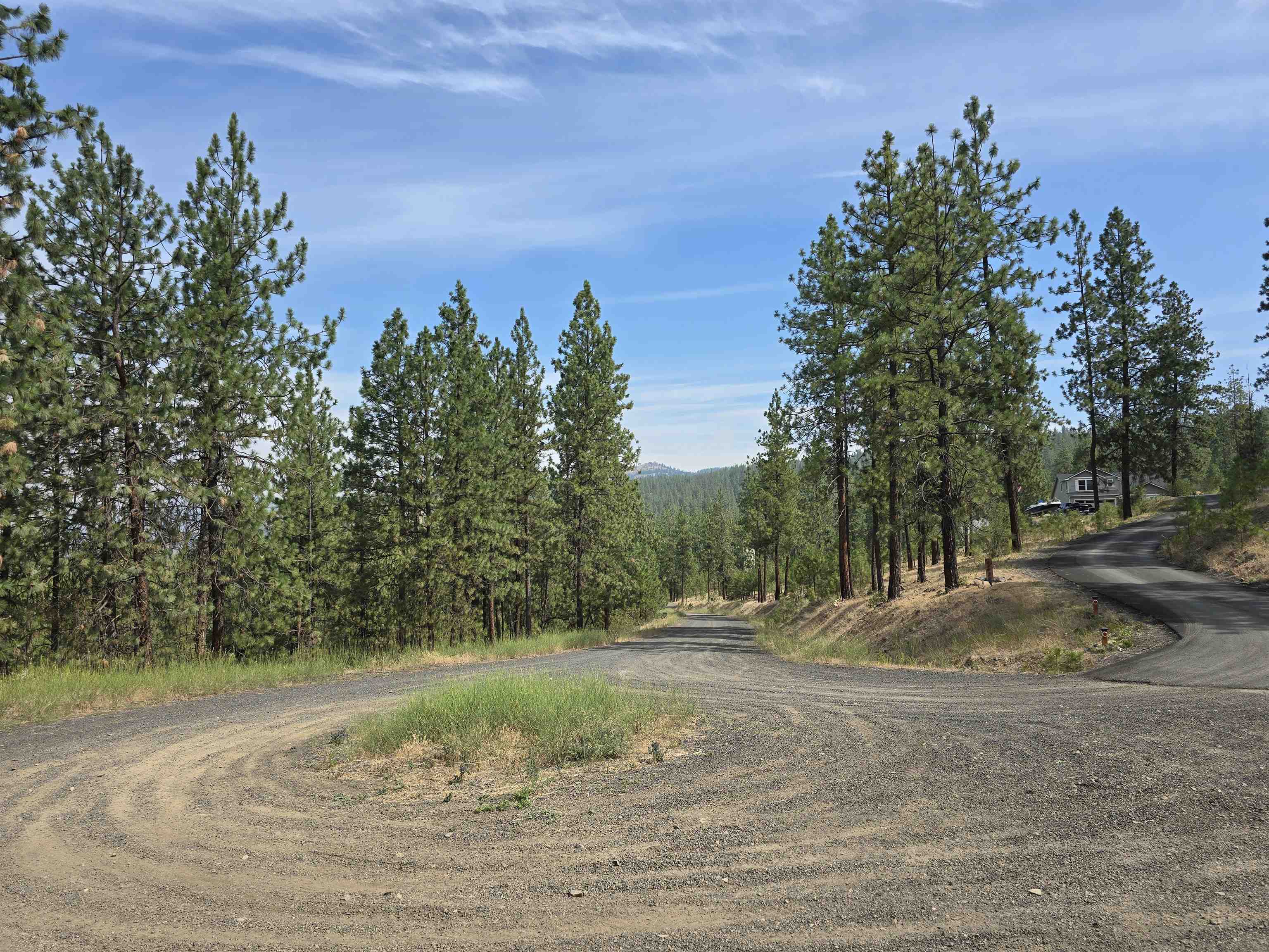 Nine Syringa Way Nine Mile Falls, WA 99026 - Photo 20 of 36