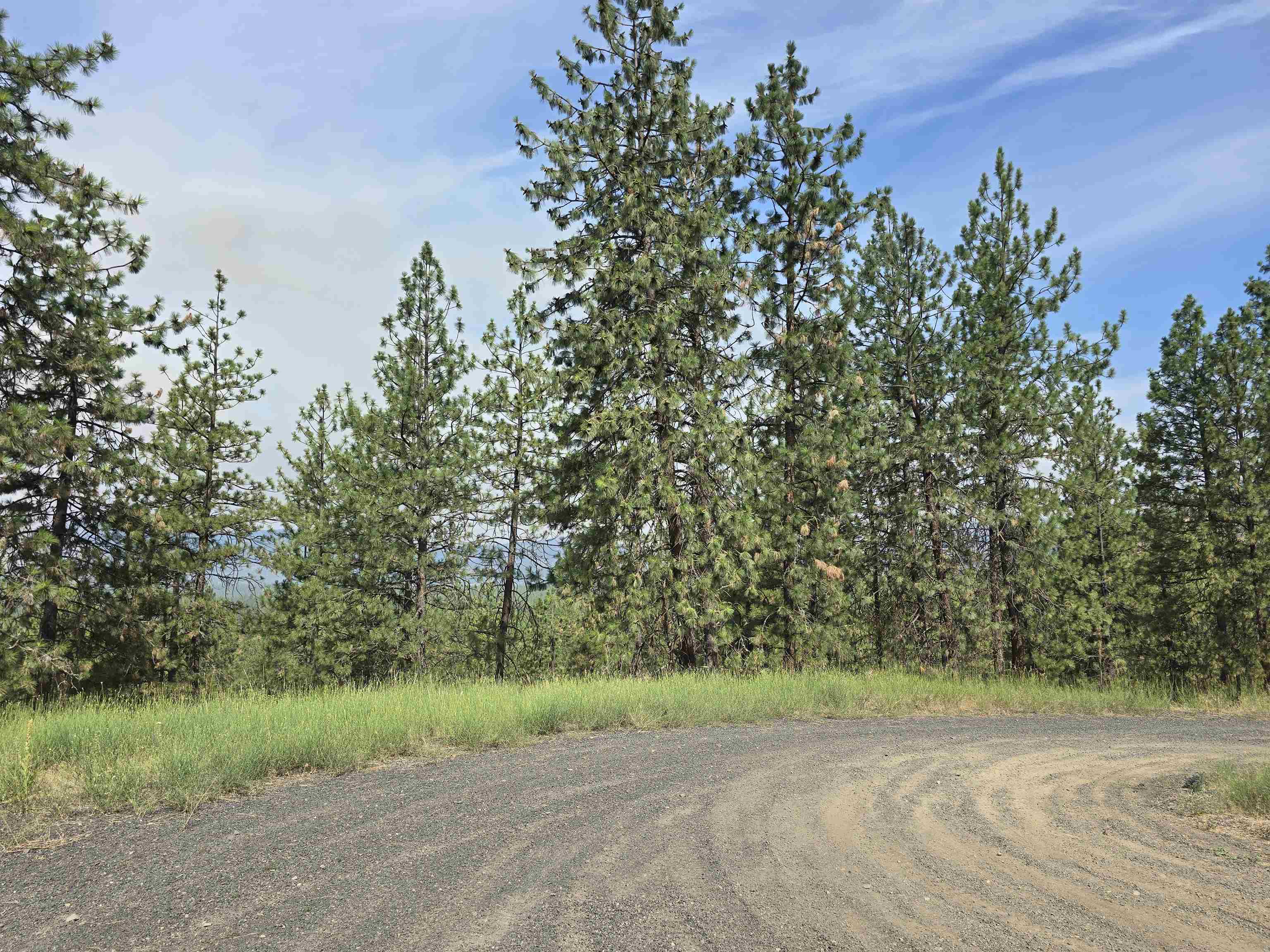 Nine Syringa Way Nine Mile Falls, WA 99026 - Photo 21 of 36