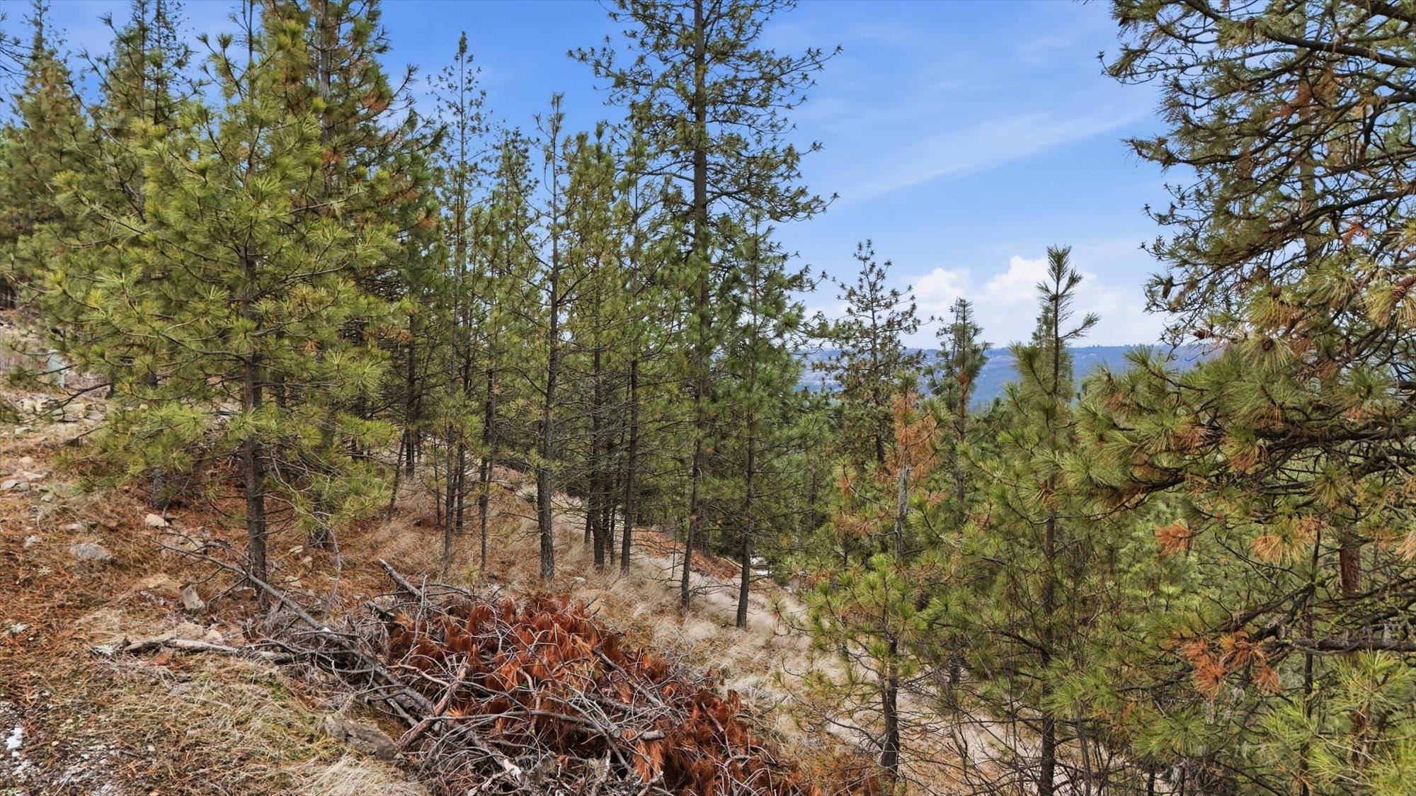Nine Syringa Way Nine Mile Falls, WA 99026 - Photo 24 of 36