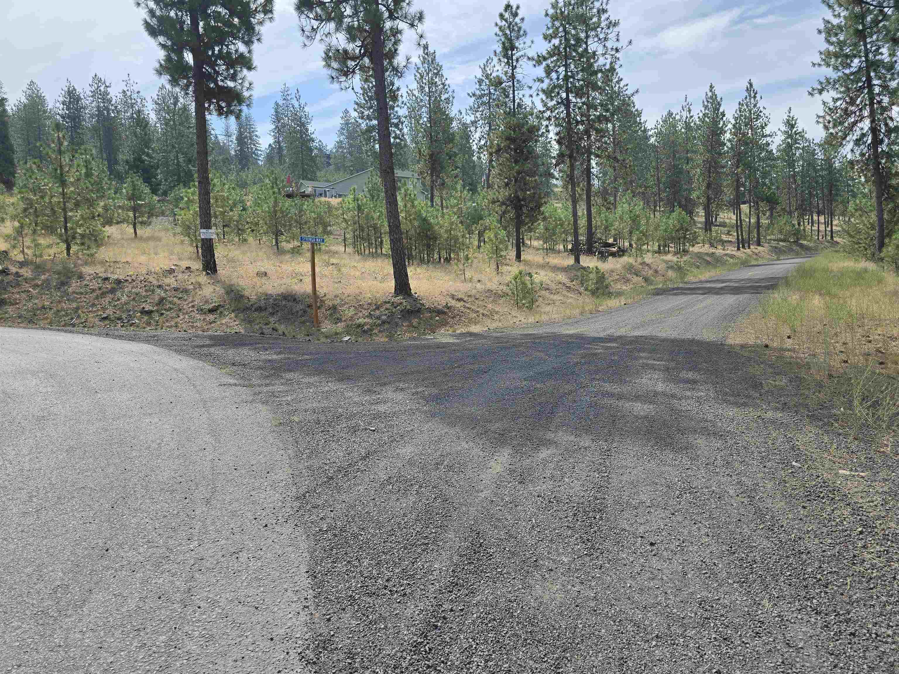 Nine Syringa Way Nine Mile Falls, WA 99026 - Photo 4 of 36