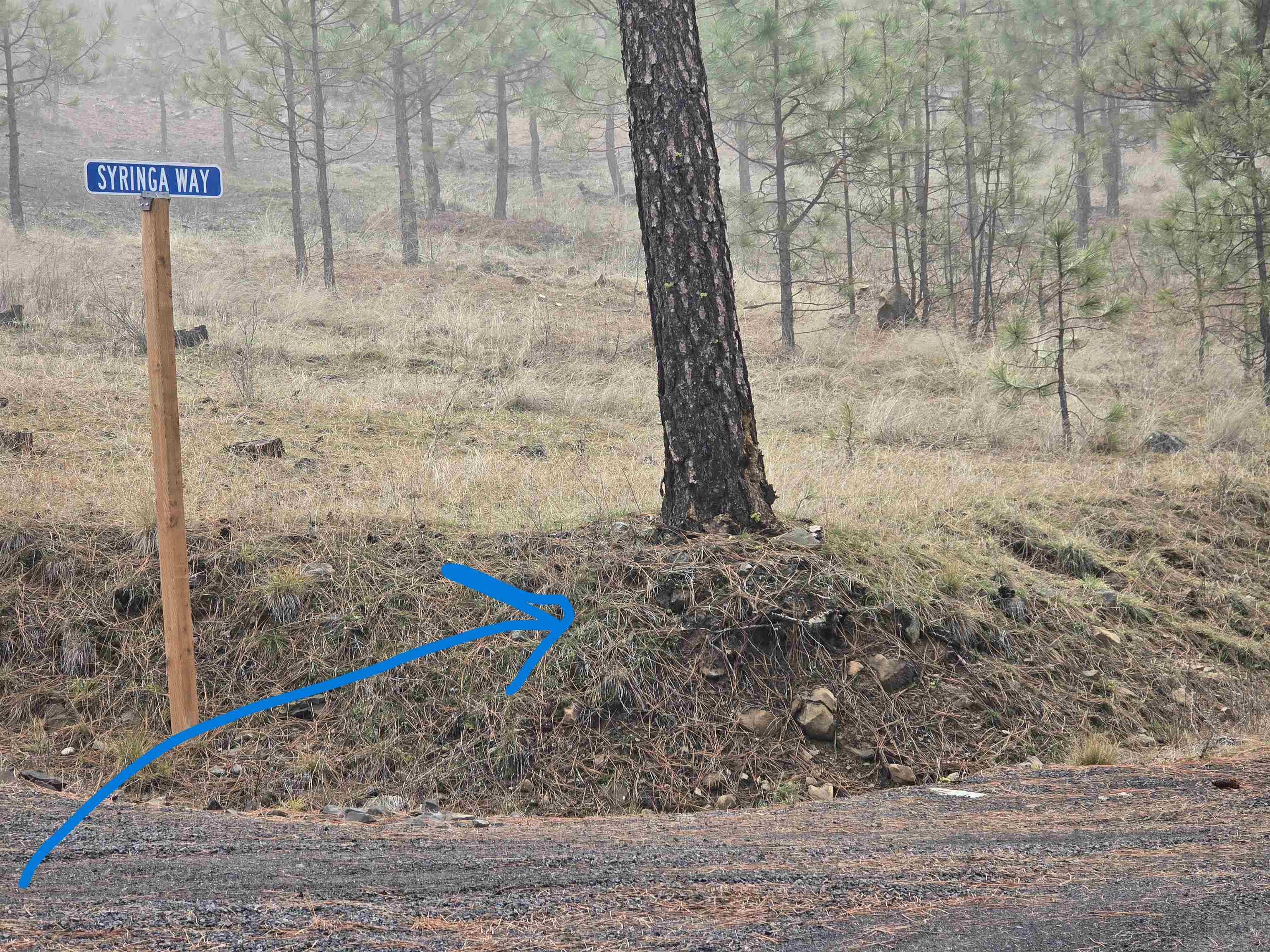 Nine Syringa Way Nine Mile Falls, WA 99026 - Photo 5 of 36