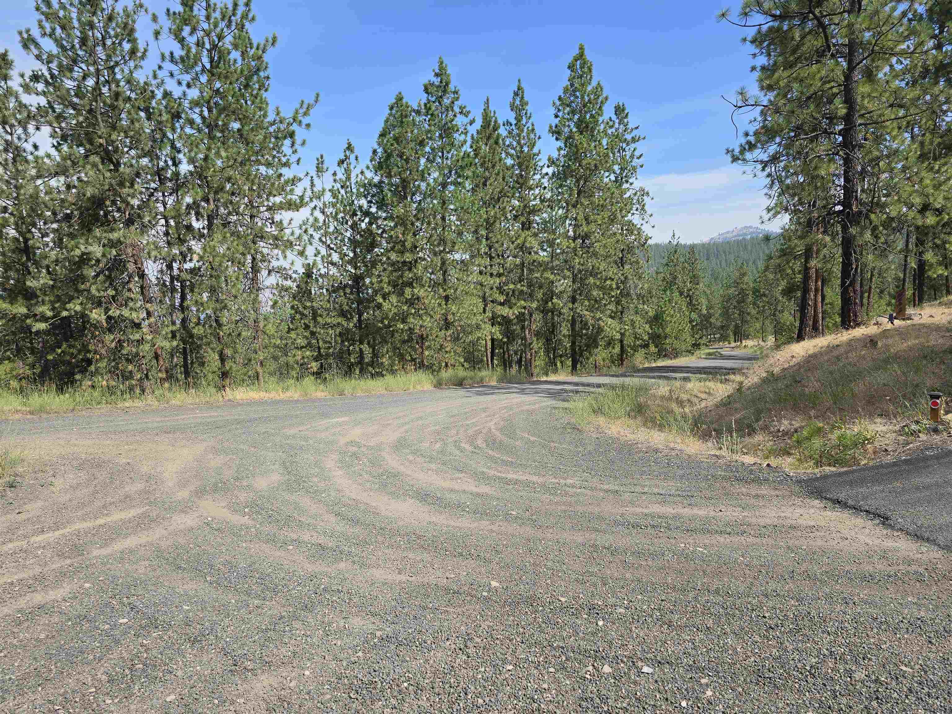 Nine Syringa Way Nine Mile Falls, WA 99026 - Photo 8 of 36