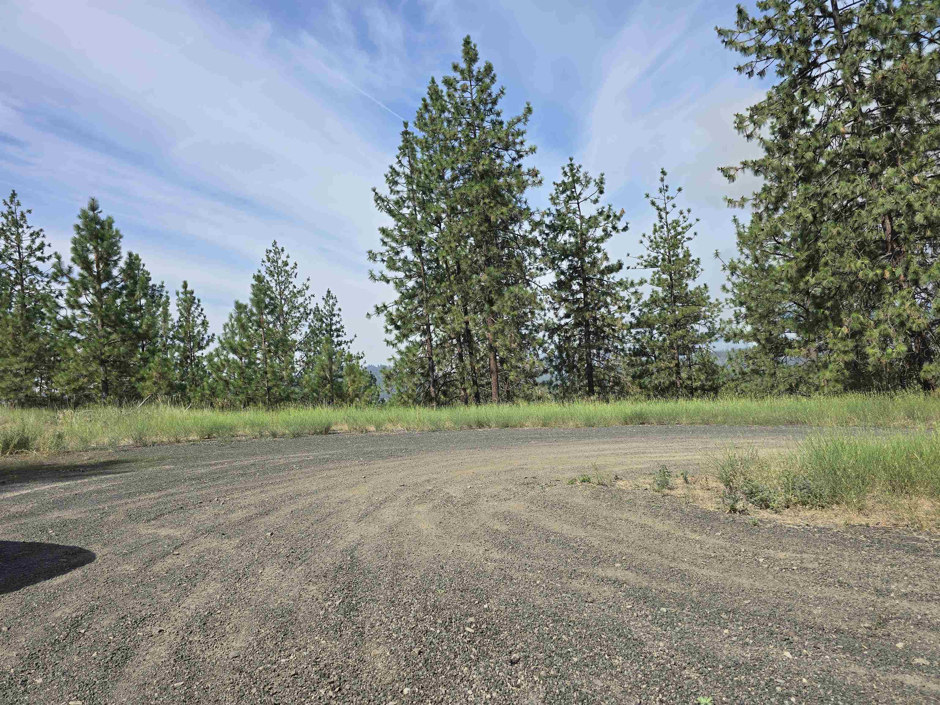 Nine Syringa Way Nine Mile Falls, WA 99026 - Photo 9 of 36