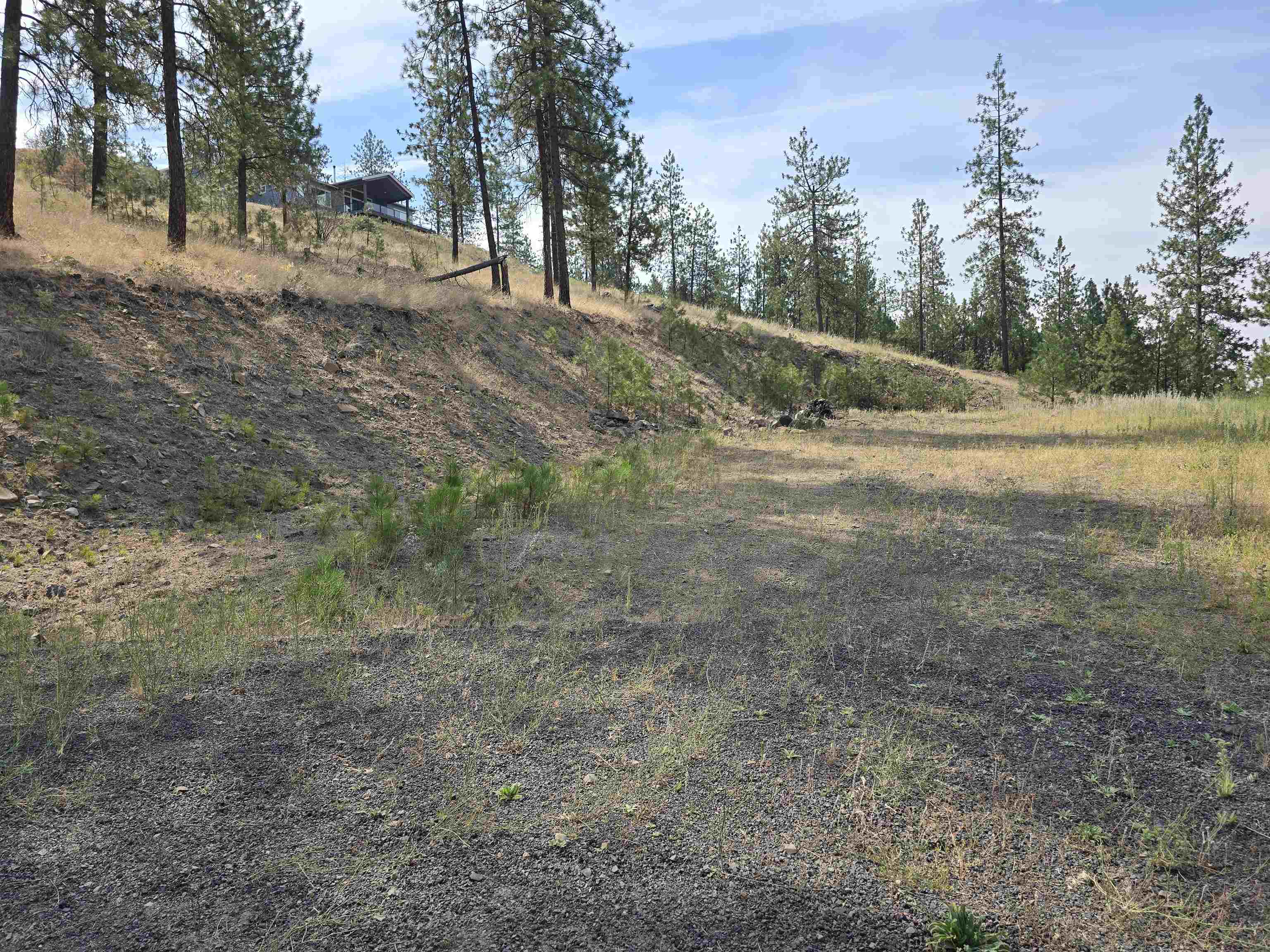 Nine Syringa Way Nine Mile Falls, WA 99026 - Photo 10 of 36