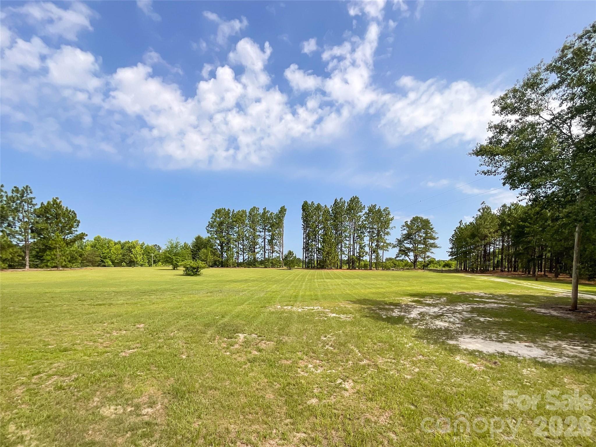 809 Campbell Road Jefferson, SC 29718 - Photo 3 of 26