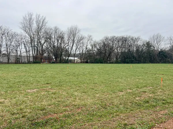 a view of a field with trees in the background