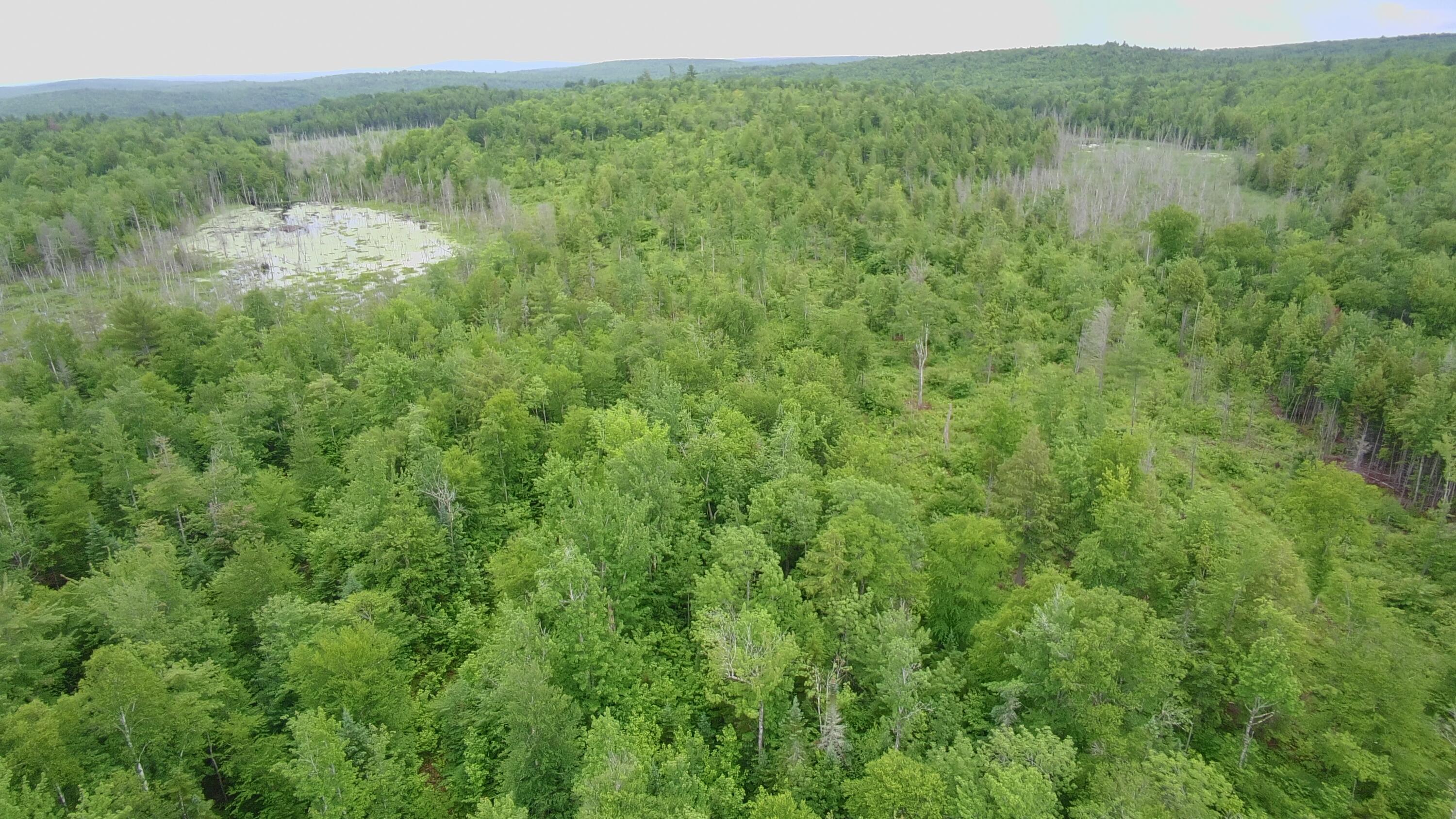 Tbd Trafton Road Parkman, ME 04443 - Photo 2 of 27 4258096_101DRONE_SING0160