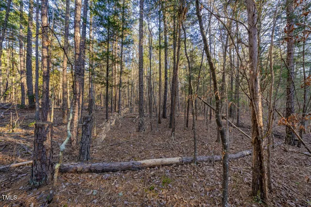 a view of a yard with large trees