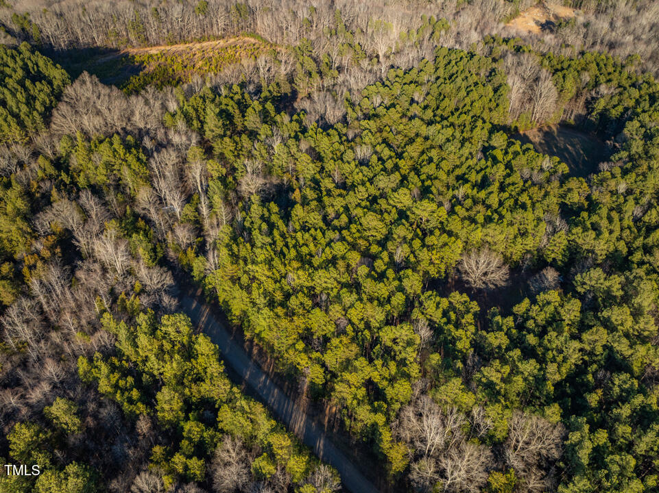 8590 Redding Road Oxford, NC 27565 - Photo 13 of 15 a view of a tree