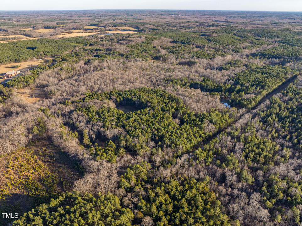 8590 Redding Road Oxford, NC 27565 - Photo 15 of 15 an aerial view of forest