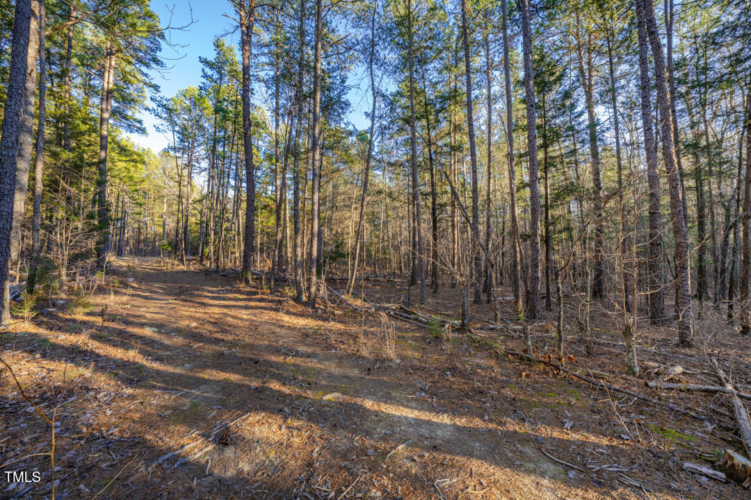 8590 Redding Road Oxford, NC 27565 - Photo 3 of 15 a view of outdoor space with wooden fence and trees