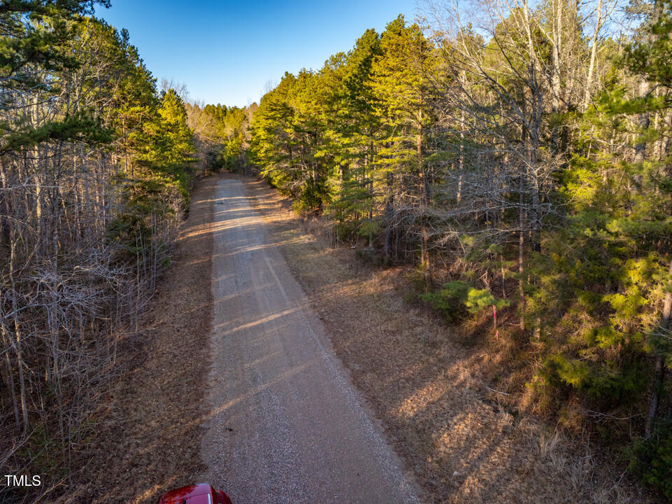 8590 Redding Road Oxford, NC 27565 - Photo 5 of 15 a view of a yard with plants and large trees