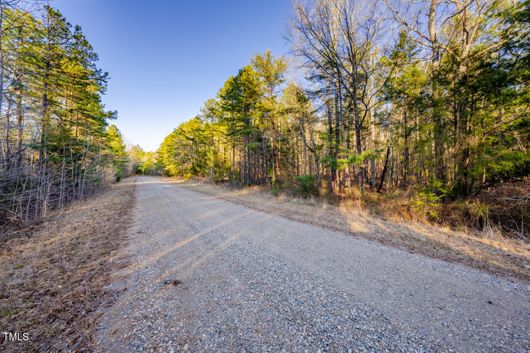 8590 Redding Road Oxford, NC 27565 - Photo 7 of 15 a view of a yard with a tree