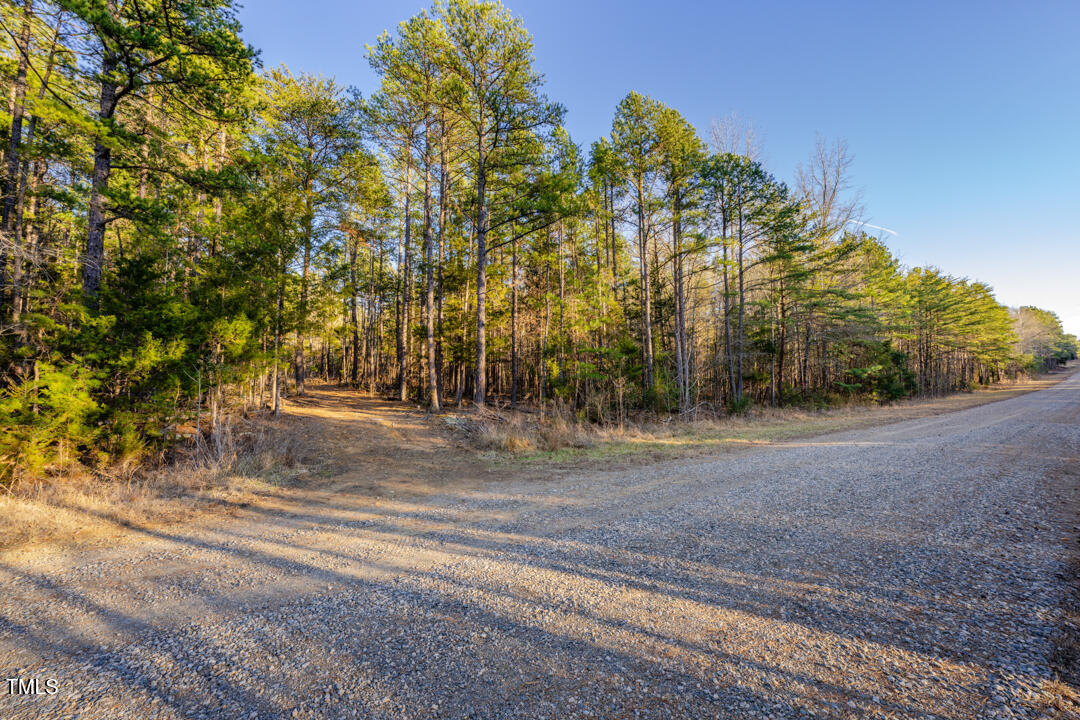 8590 Redding Road Oxford, NC 27565 - Photo 8 of 15 a view of road with trees