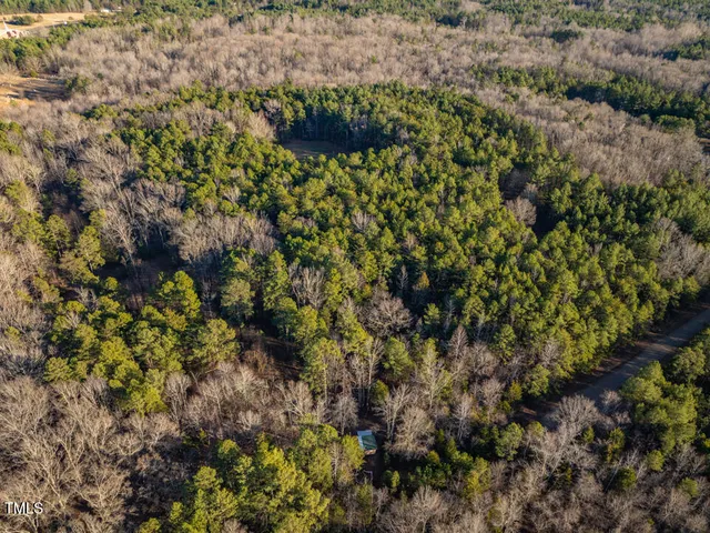 a view of a plant in a garden