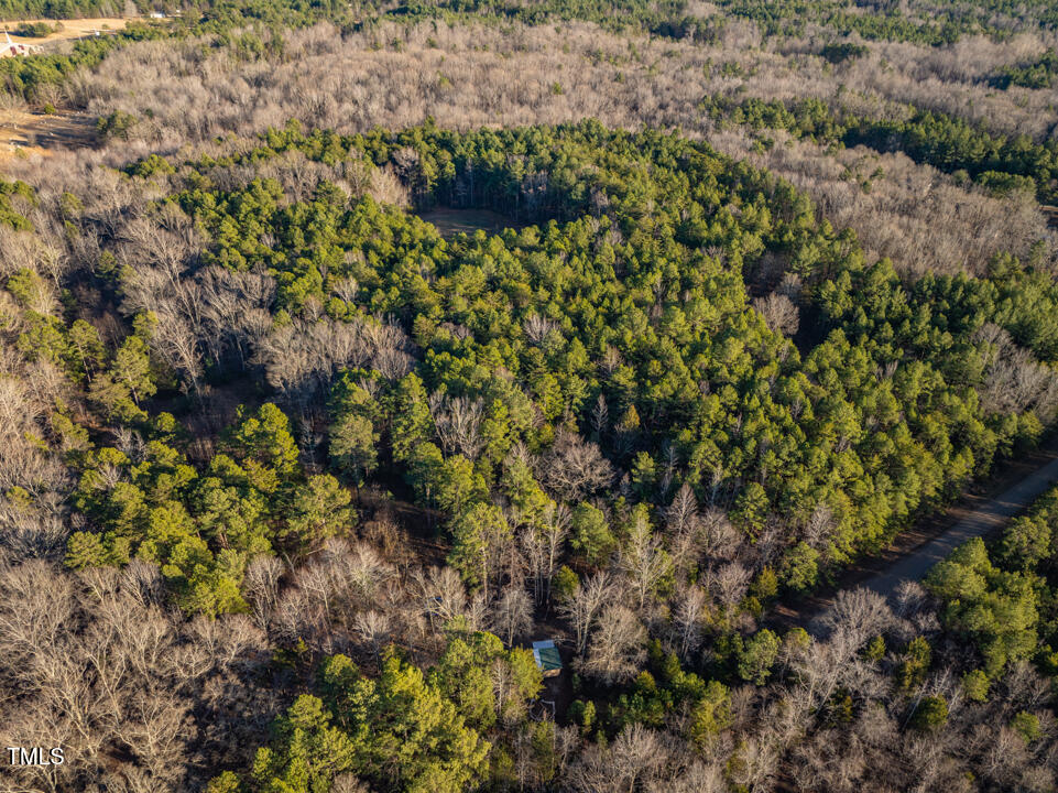 8590 Redding Road Oxford, NC 27565 - Photo 10 of 15 a view of a plant in a garden