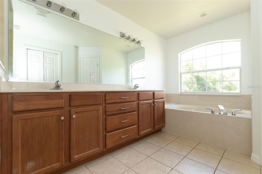 3858 Southwest 161st Street Ocala, FL 34473 - Photo 46 of 67 a bathroom with a granite countertop sink a mirror and a bathtub