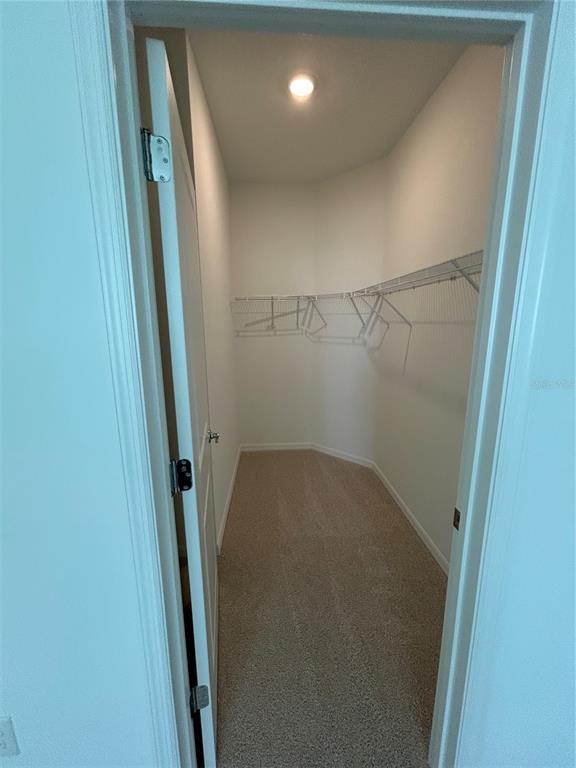 32746 Rustic Rise Road San Antonio, FL 33576 - Photo 17 of 24