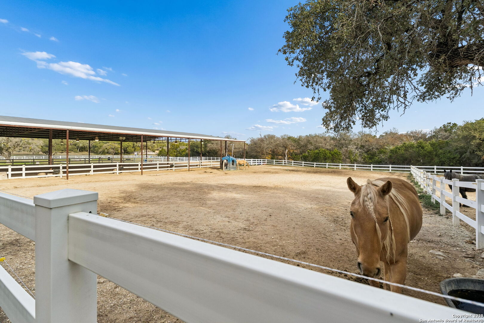 430 Stoney Ridge Bulverde, TX 78163 - Photo 71 of 94 a view of swimming pool with outdoor seating and plants