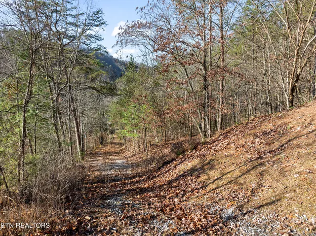 $499,950 | 3461 Lost Branch Road, Sevierville, TN 37862