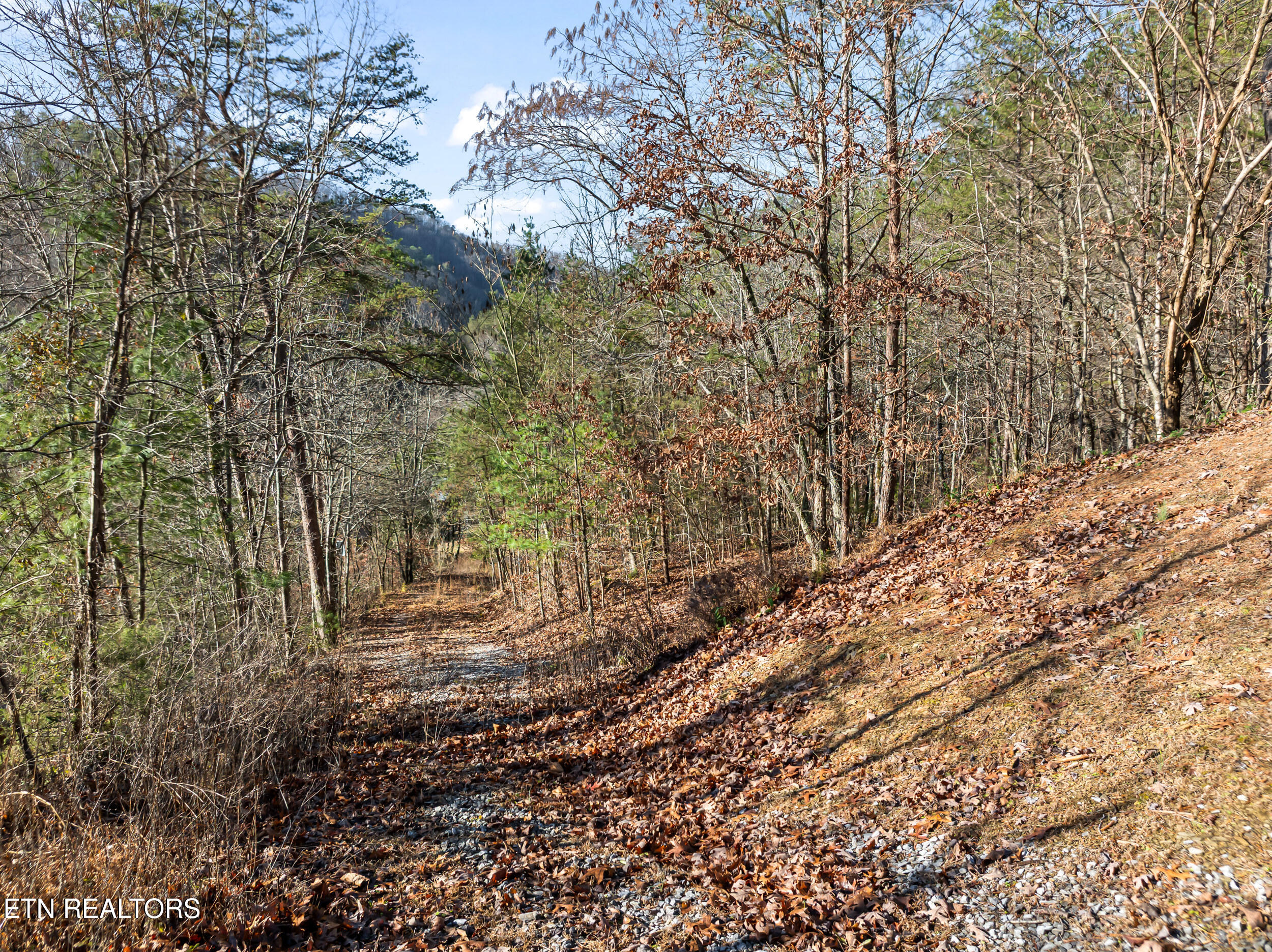 3461 Lost Branch Road Sevierville, TN 37862 - Photo 45 of 56 3461 lost branch rd-45