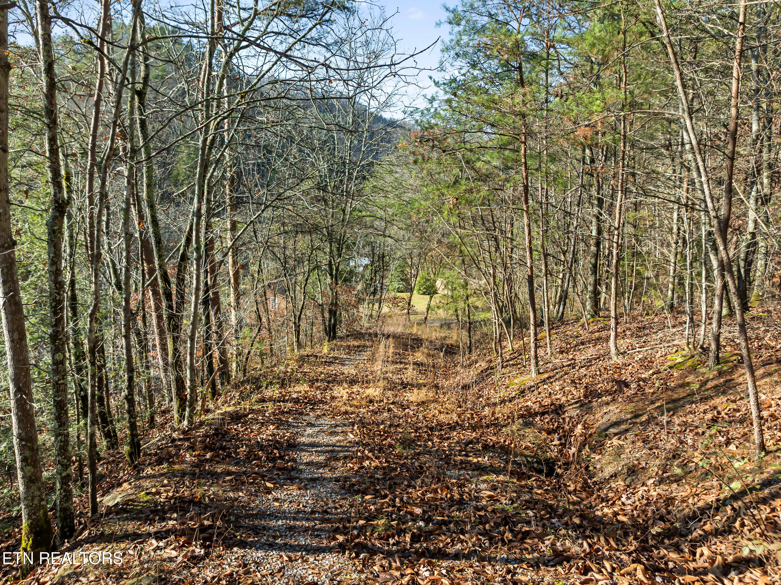 3461 Lost Branch Road Sevierville, TN 37862 - Photo 46 of 56 3461 lost branch rd-46