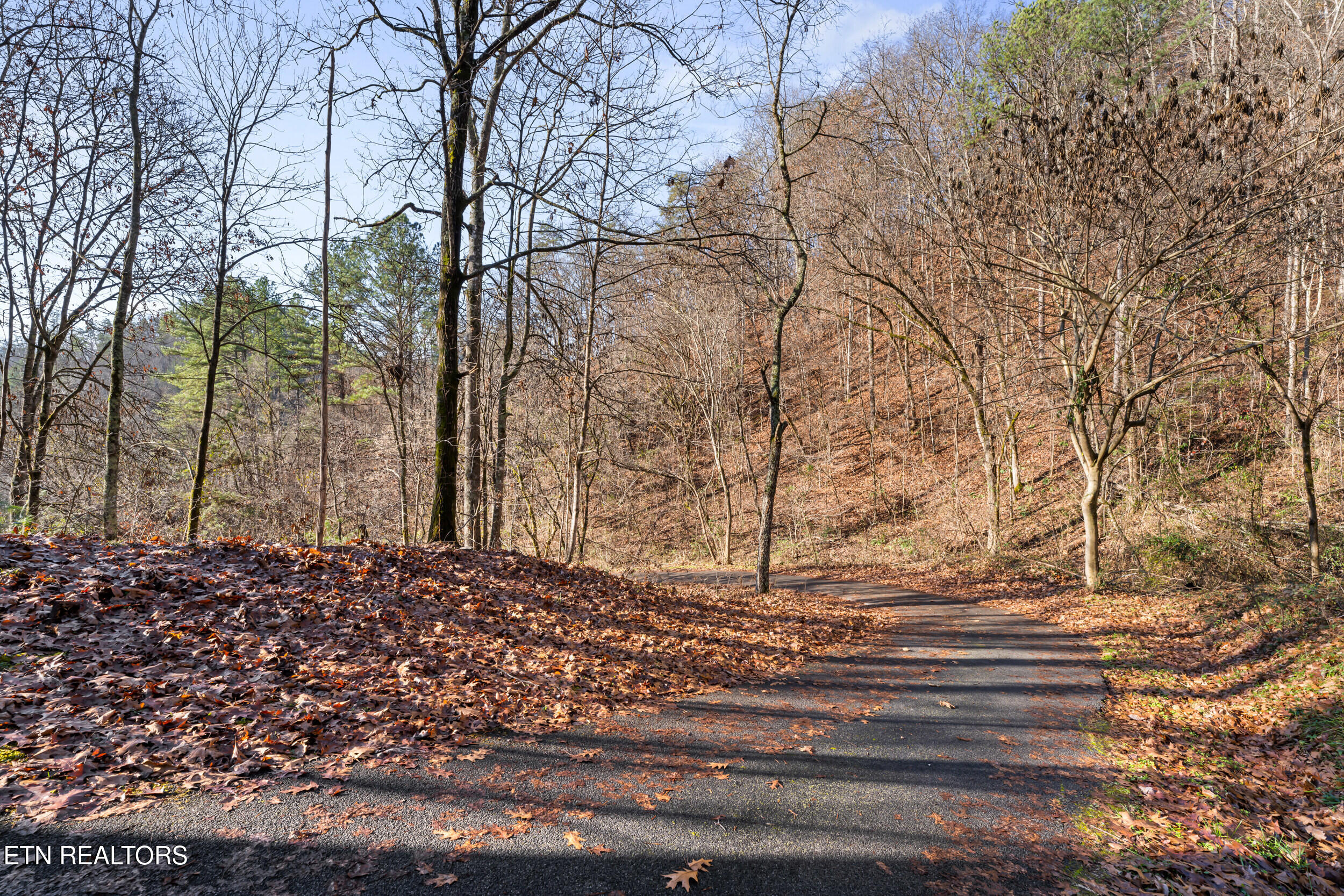 3461 Lost Branch Road Sevierville, TN 37862 - Photo 48 of 56 3461 lost branch rd-48