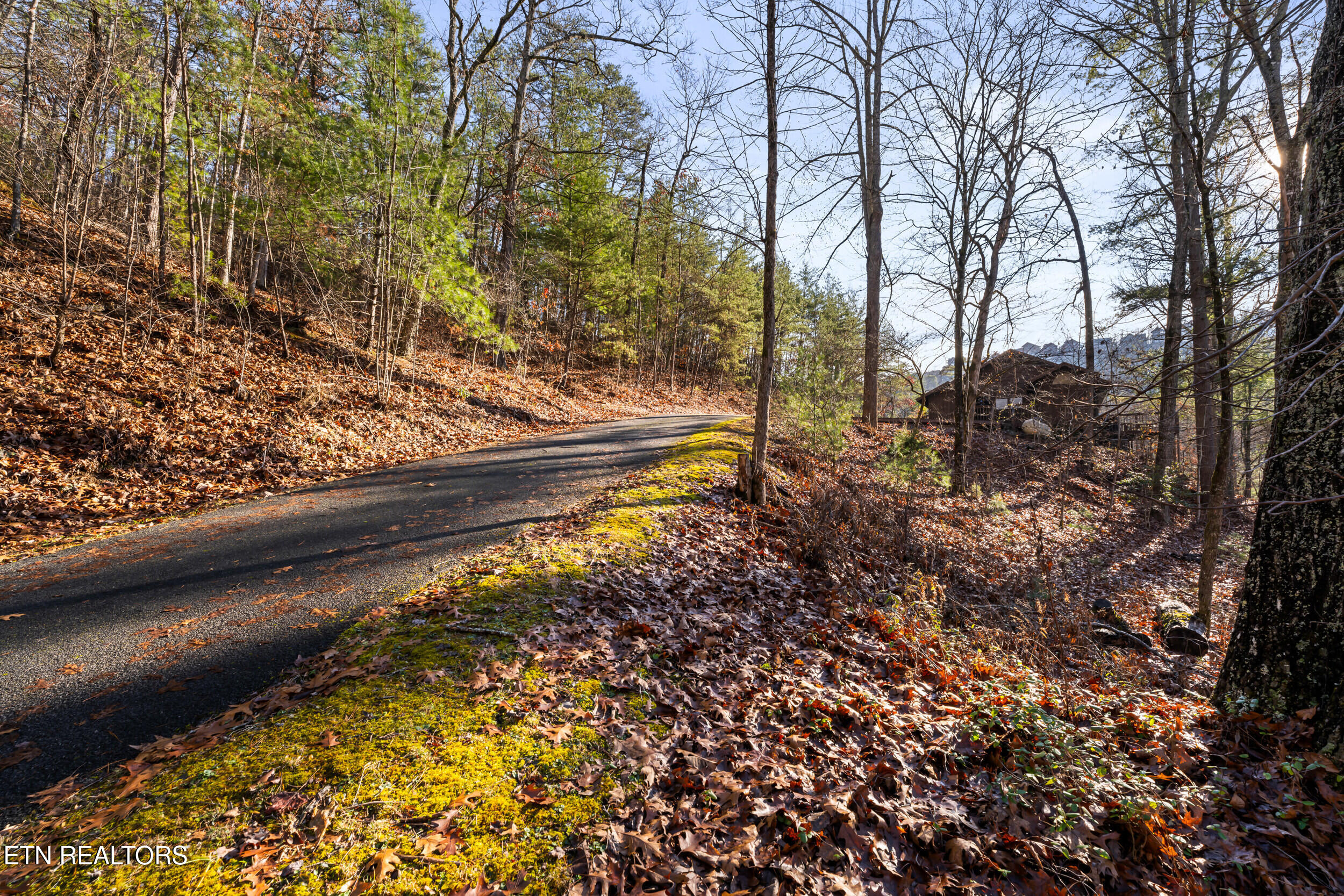 3461 Lost Branch Road Sevierville, TN 37862 - Photo 49 of 56 3461 lost branch rd-49