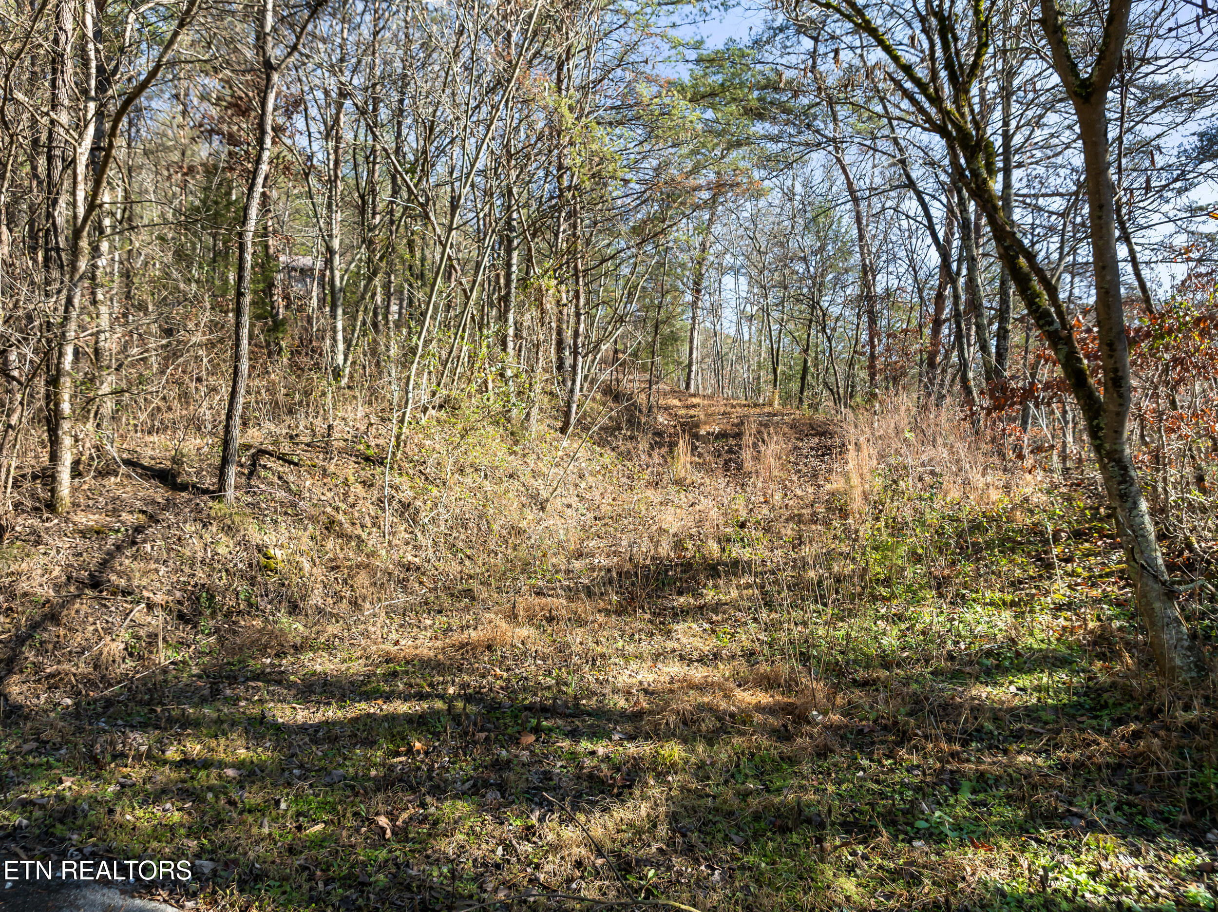 3461 Lost Branch Road Sevierville, TN 37862 - Photo 50 of 56 3461 lost branch rd-50