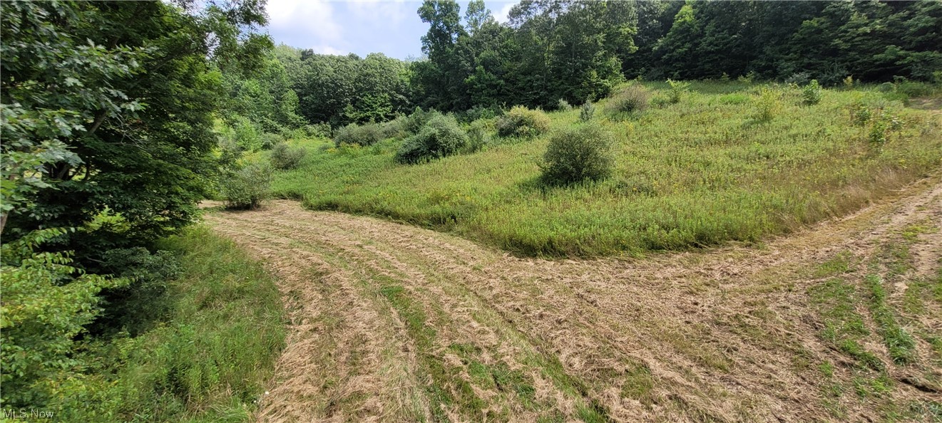 Southeast Edwards Ridge Road Southeast Uhrichsville, OH 44683 - Photo 9 of 34 Gallery Image 9