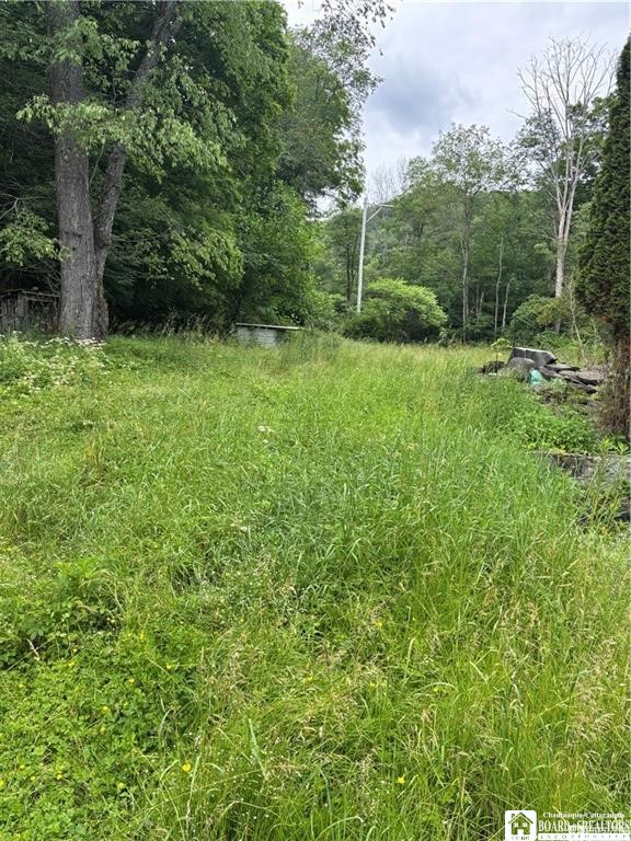 2045 Baxter Mills Road Ischua, NY 14743 - Photo 40 of 44 Gallery Image 40