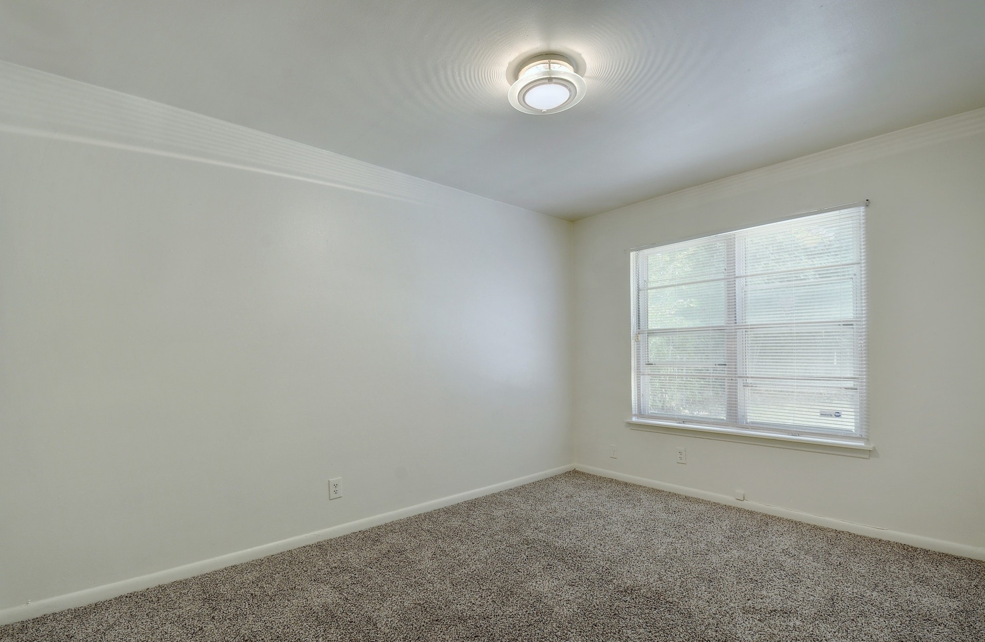 129 Coleman Street Austin, TX 78704 - Photo 13 of 19